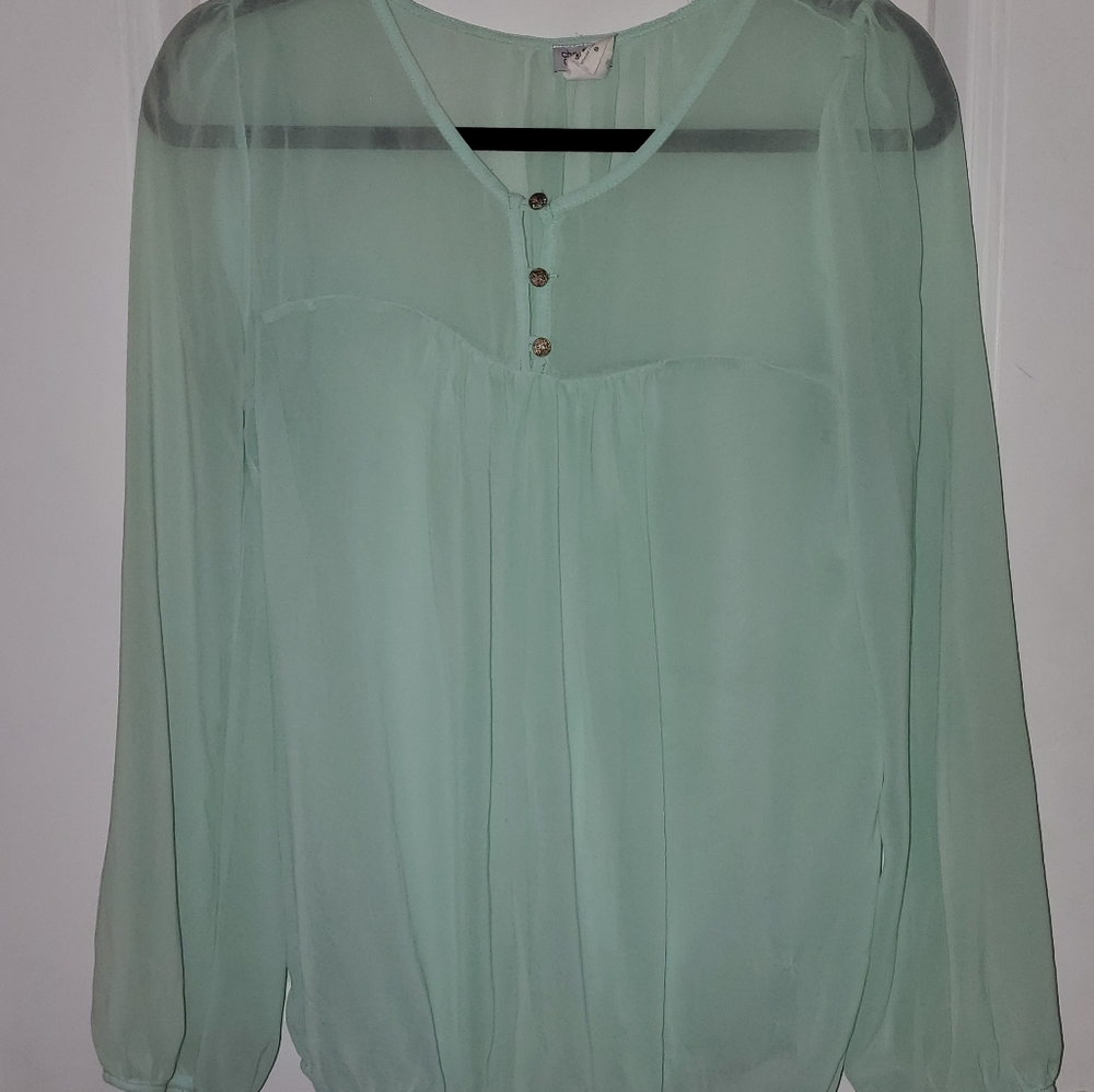LAST CHANCE- Sheer Long Sleeved Top